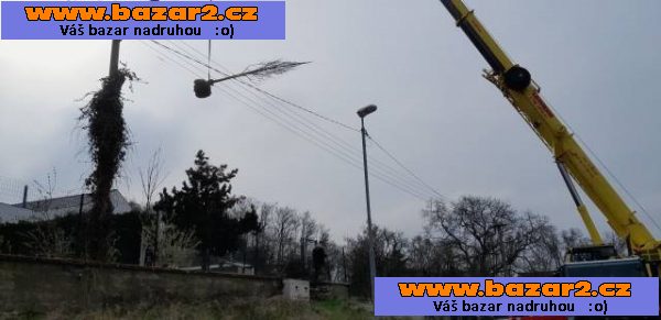 Prodej vzrostlých dřevin - celá ČR-4, inzerce-cz.cz Prodej vzrostlých dřevin - celá ČR