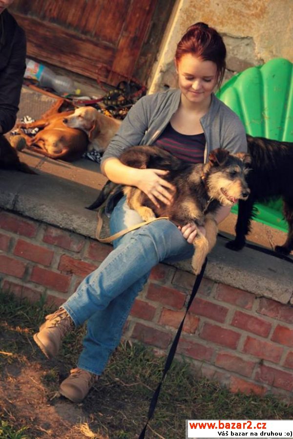 Roztomilá štěňátka k adopci 