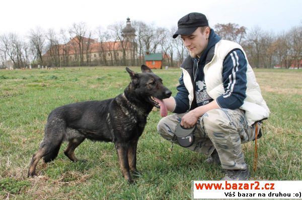 náhled