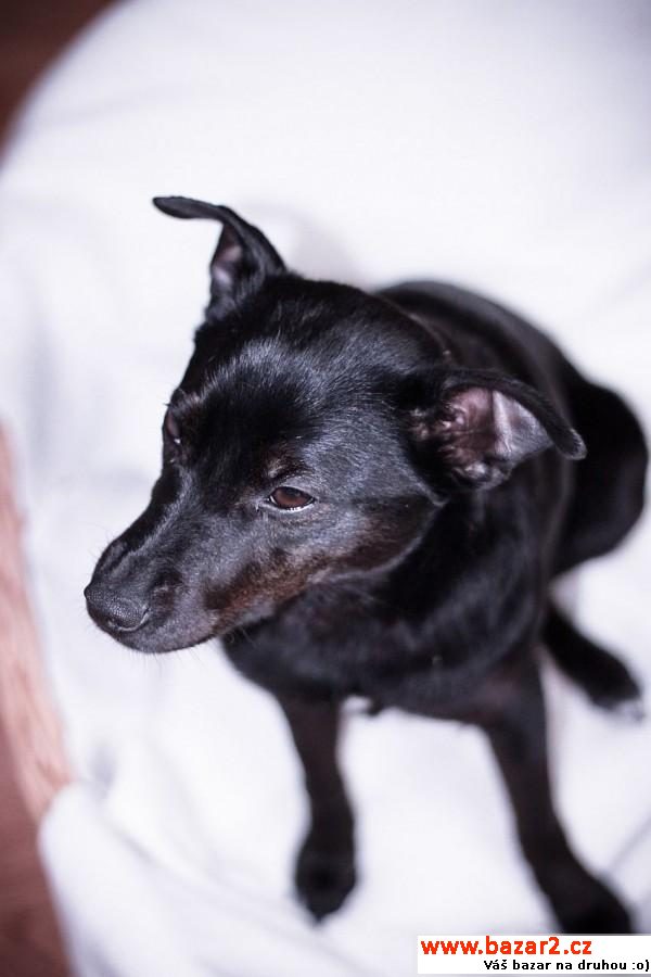 Aby - Fantastico Friendly Loving 