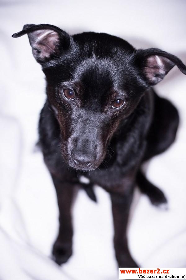 Aby - Fantastico Friendly Loving 