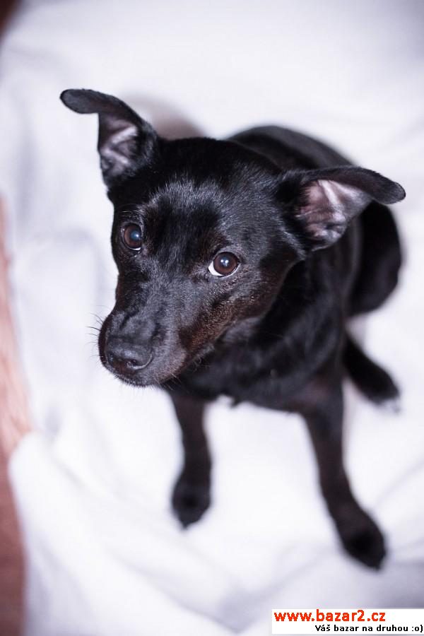 Aby - Fantastico Friendly Loving 