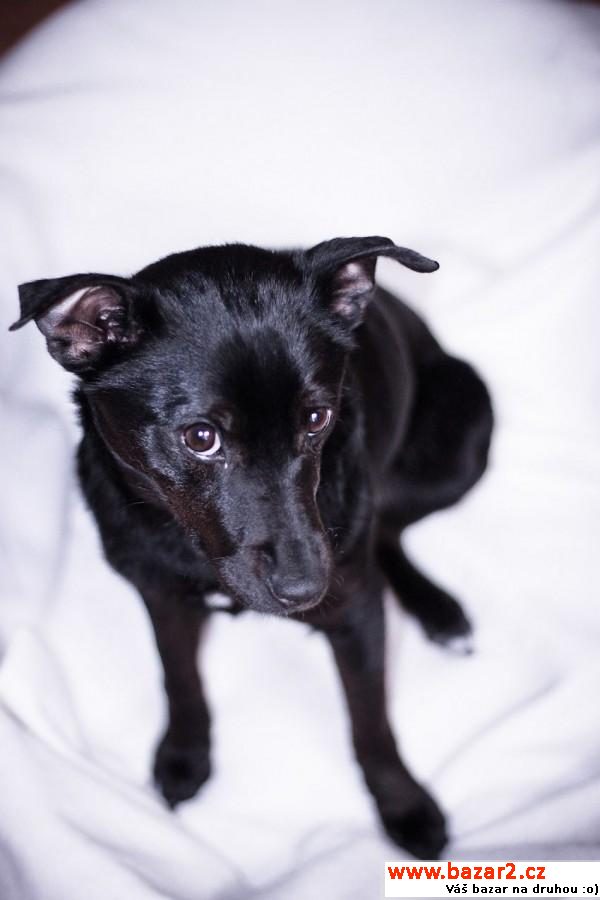 Aby - Fantastico Friendly Loving 