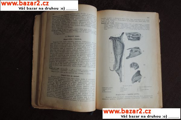 Kniha rozpočtů a kuchařských předpisů (1925)