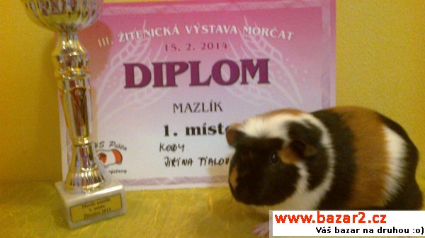 Tříbarevného kresteda