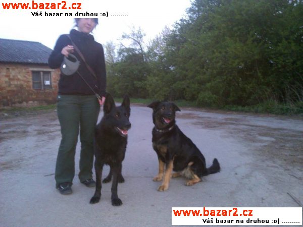 KRÁSNÁ NAVARA HLEDÁ MILUJÍCÍ DOMOV
