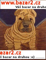 Shar Pei s PP