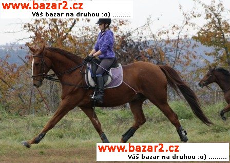 Letní tábor s koňmi
