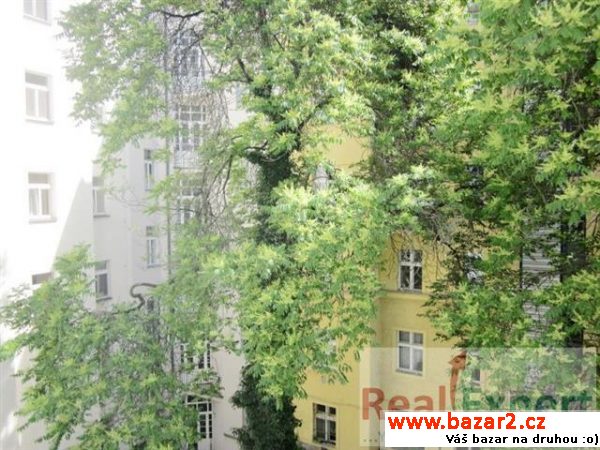 Pronájem reprezentativního bytu 6+1, 200 m2,