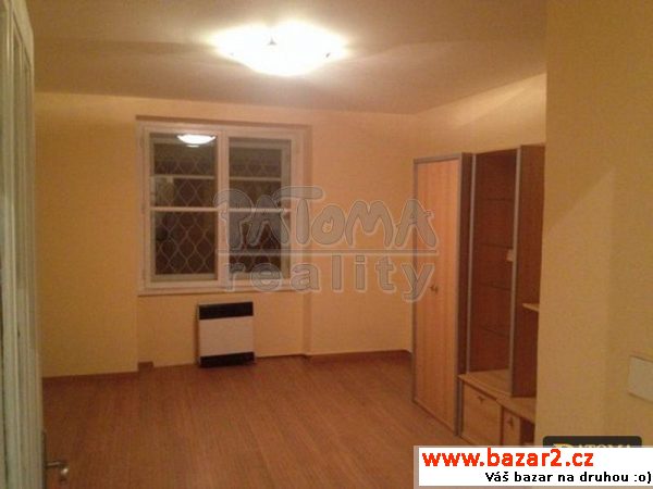 Pronájem bytu 1+1, 35m2, Praha 2 - Vinohrady, ul.