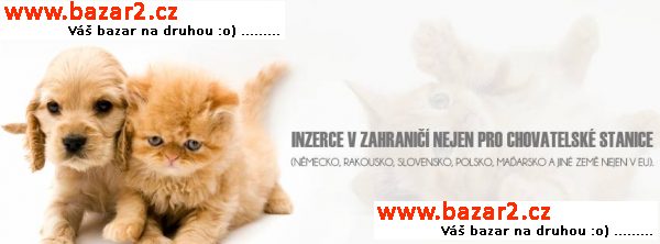 Inzerce v ZAHRANIČÍ pro CHS rychle a JEDNODUŠE!