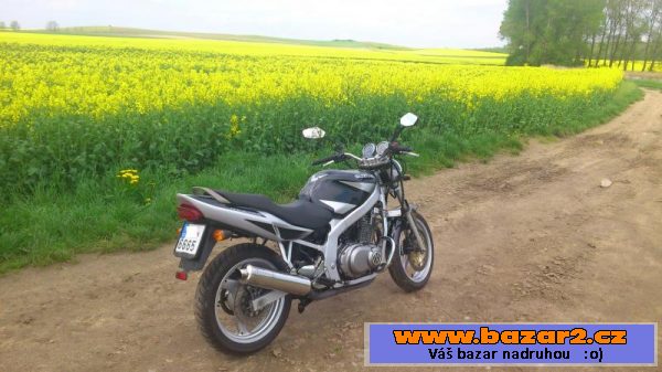 Suzuki GS 500e