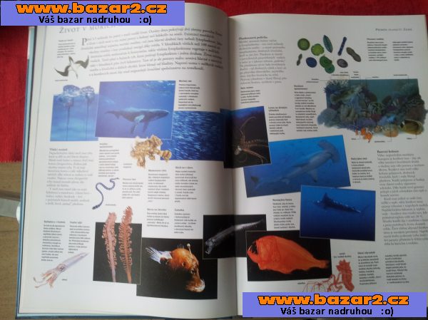 atlas světa